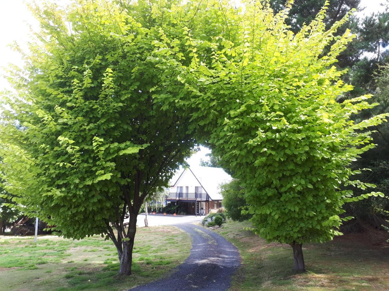 Robin'S Nest B&B Wilmot Eksteriør bilde